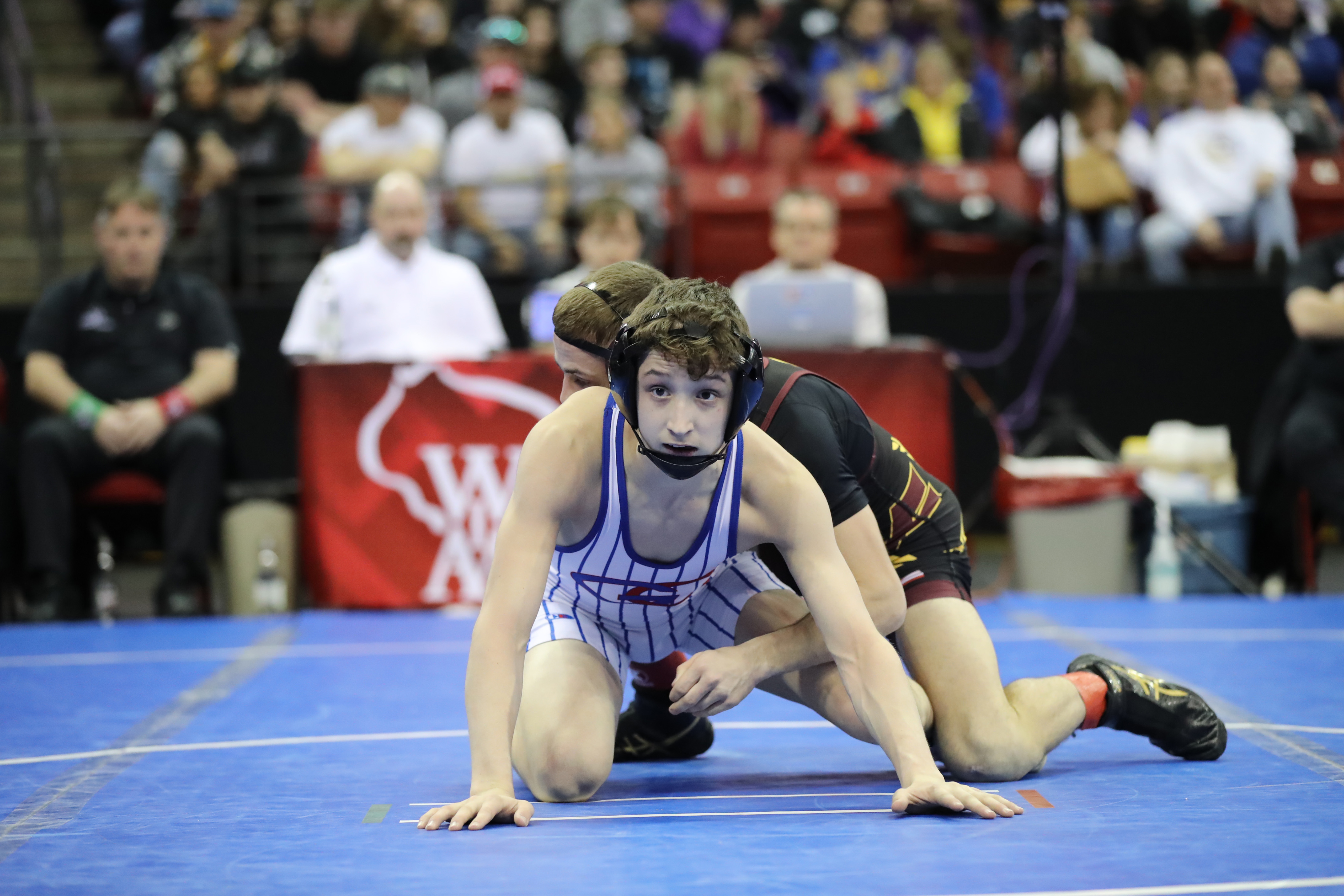 WISCONSIN INTERSCHOLASTIC ATHLETIC ASSOCIATION